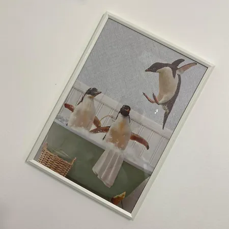 Acquario La Piazzetta Janov